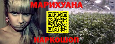 крисы Изобильный