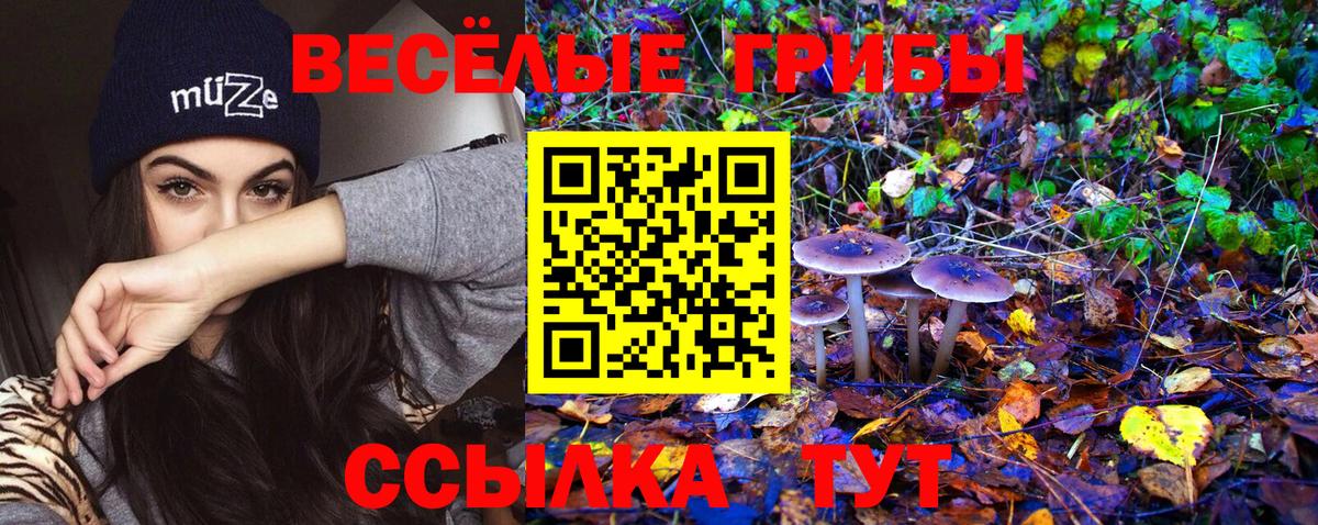 Псилоцибиновые грибы GOLDEN TEACHER Мелеуз