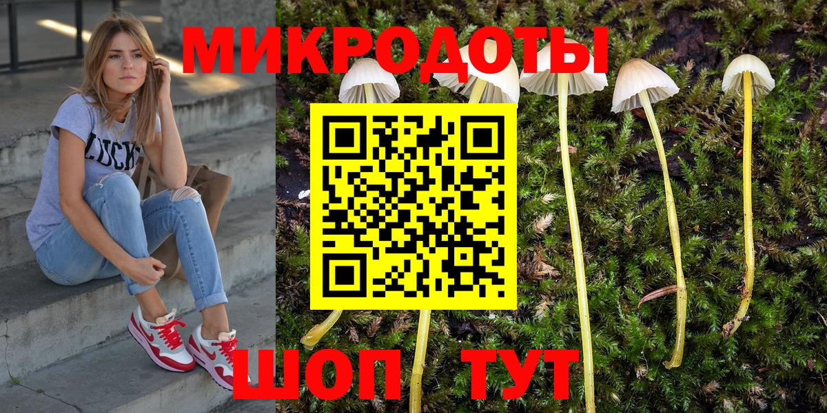 Галлюциногенные грибы мицелий  Вход с VPN  хочу   Мелеуз  Галлюциногенные грибы Cubensis 